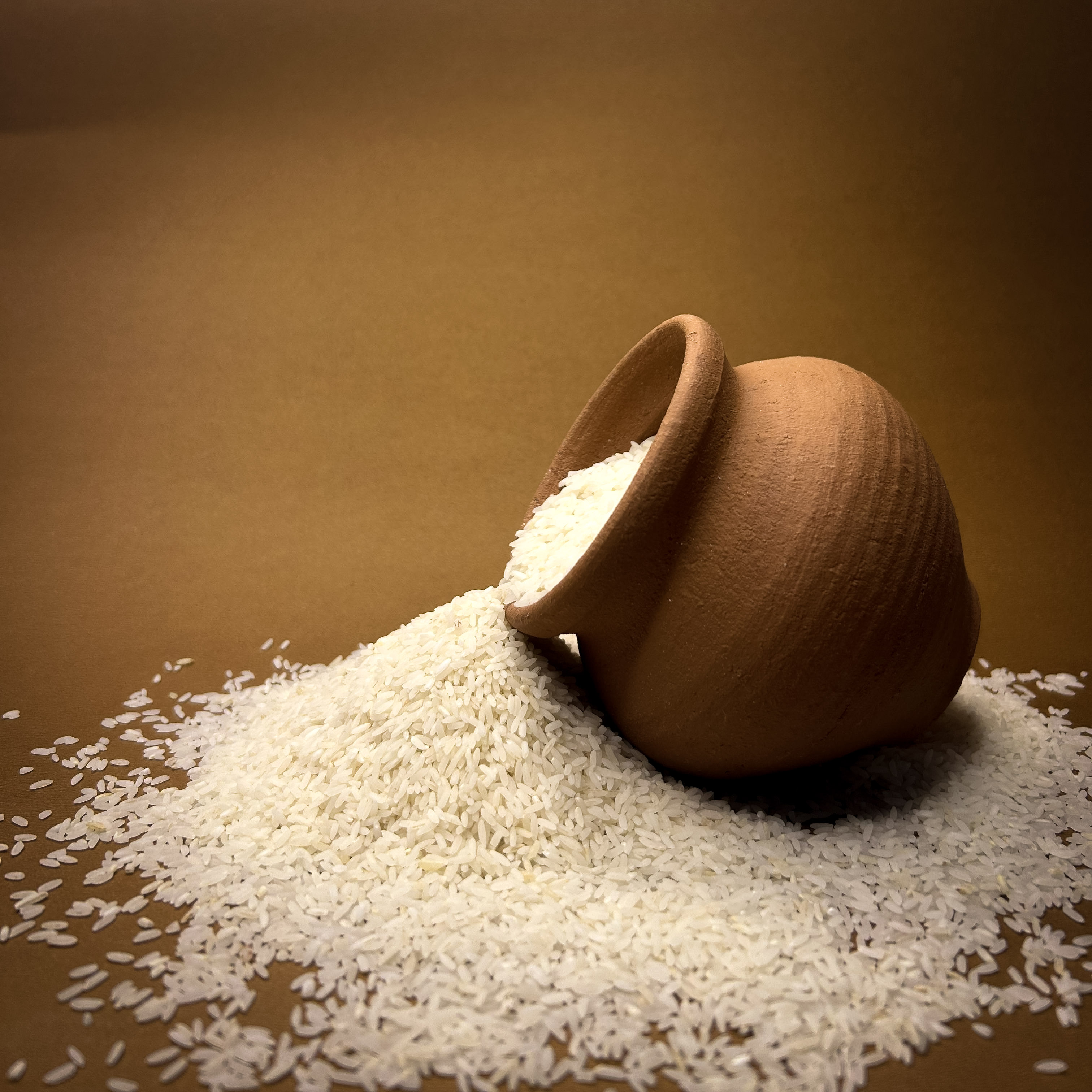 RNR 15048 Telangana Sona - Image 5